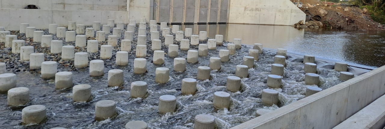 À Pont-ar-Bled, l’Elorn a retrouvé son lit