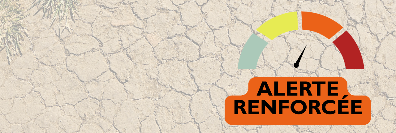 Alerte sécheresse renforcée | Mouillez-vous pour l’eau !